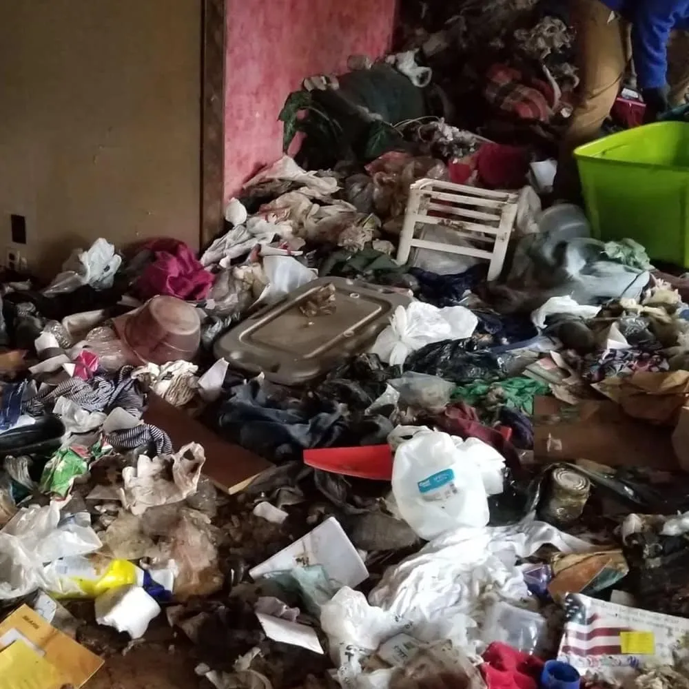 Hoarding Remediation