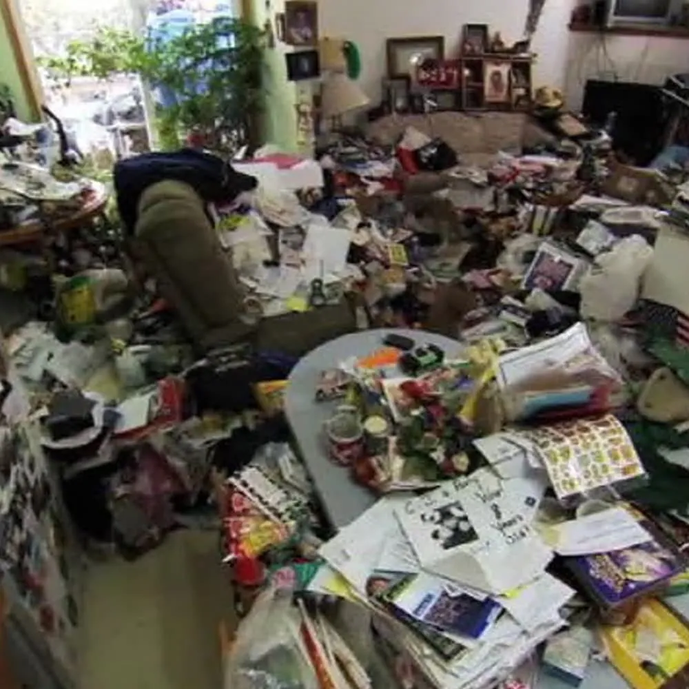 Hoarding Remediation