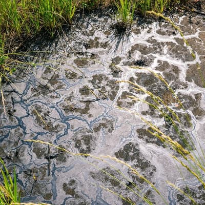 Environmental Spill Cleanup